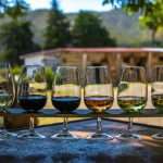 Cata Privada en finca